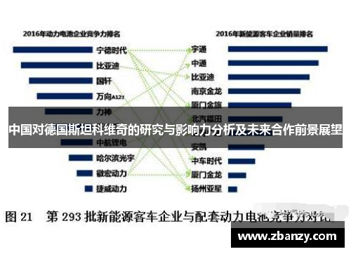 中国对德国斯坦科维奇的研究与影响力分析及未来合作前景展望